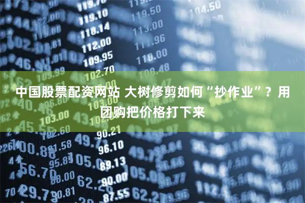 中国股票配资网站 大树修剪如何“抄作业”？用团购把价格打下来