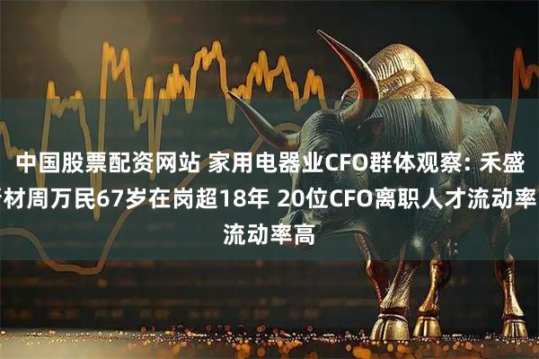中国股票配资网站 家用电器业CFO群体观察: 禾盛新材周万民67岁在岗超18年 20位CFO离职人才流动率高
