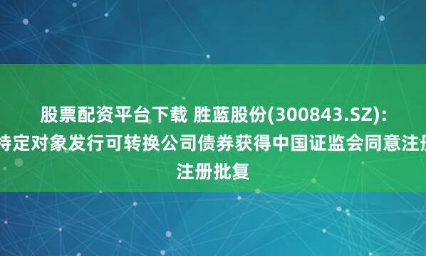 股票配资平台下载 胜蓝股份(300843.SZ): 向不特定对象发行可转换公司债券获得中国证监会同意注册批复