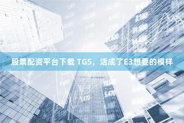股票配资平台下载 TGS,活成了E3想要的模样