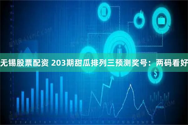 无锡股票配资 203期甜瓜排列三预测奖号:两码看好