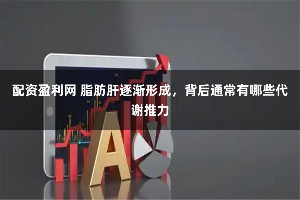 配资盈利网 脂肪肝逐渐形成，背后通常有哪些代谢推力